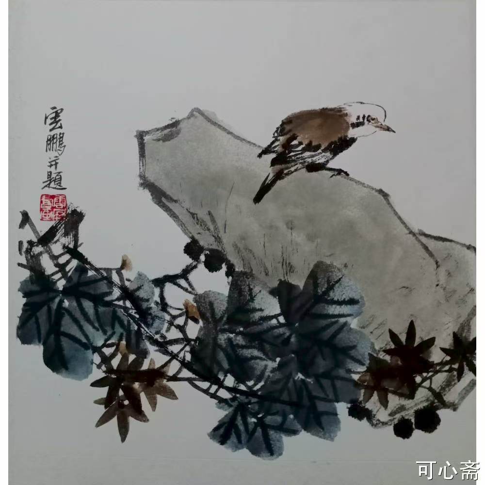 ��������Ʒ 50x50 