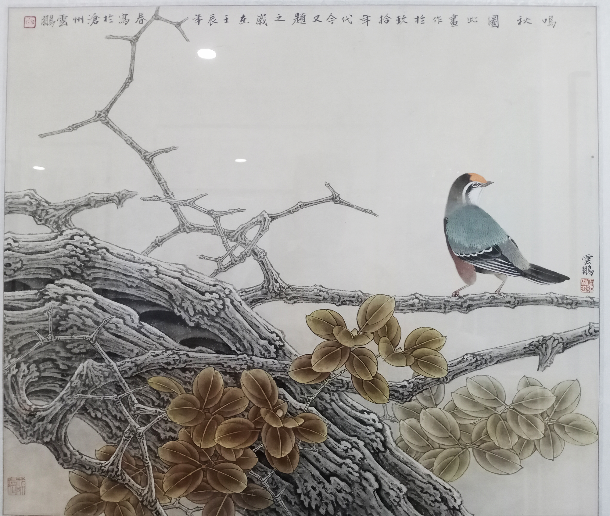 ����������65x65��17000